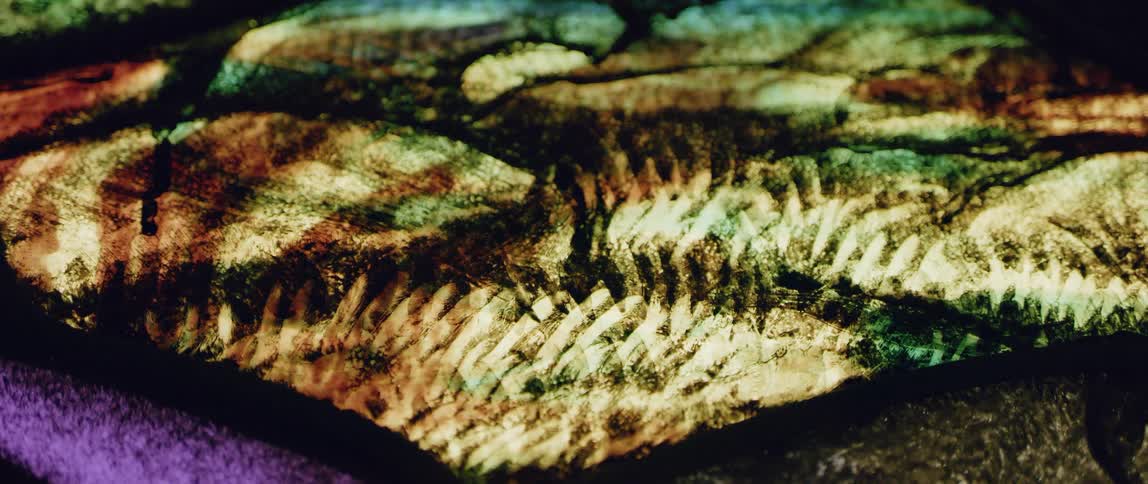 Close up of the panels of a colorful stained glass window
