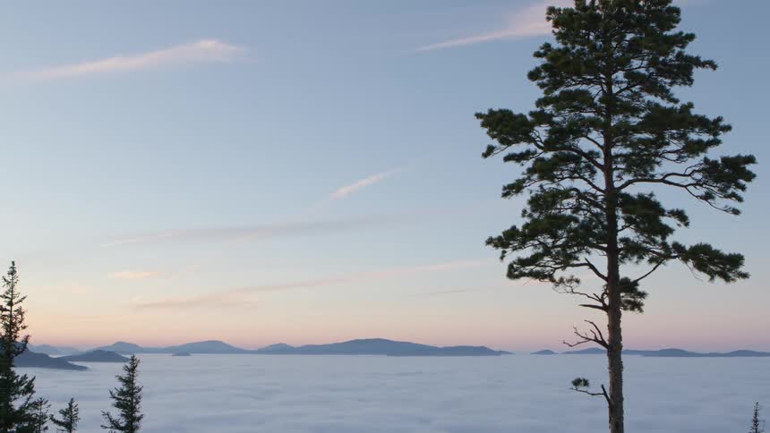 Landscape of mountains and a blue sky with snow and trees