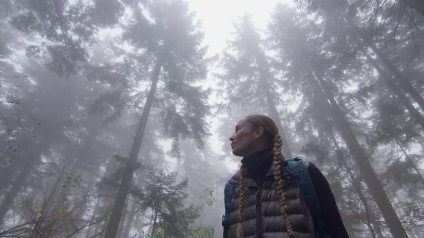 A woman stands in the midst of numerous tall trees in a mist shrouded forest