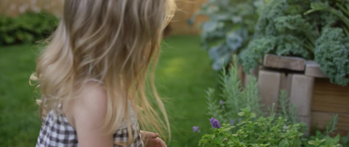 A little girl looks at flowers in her back yard