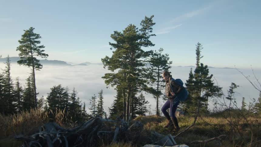 A woman with a backpack walking in a forest with trees a mountain range the sky and clouds in the background