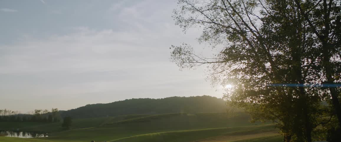 Landscape with hills field and trees with a setting bright sun