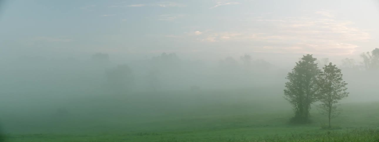 White mist over the green grass on a field in the morning
