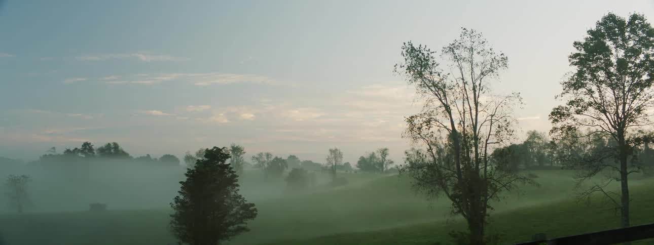 A forest with trees and hills with the sky and clouds in the background