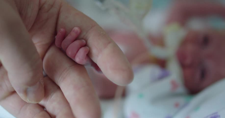 A father is holding his newborn baby hand