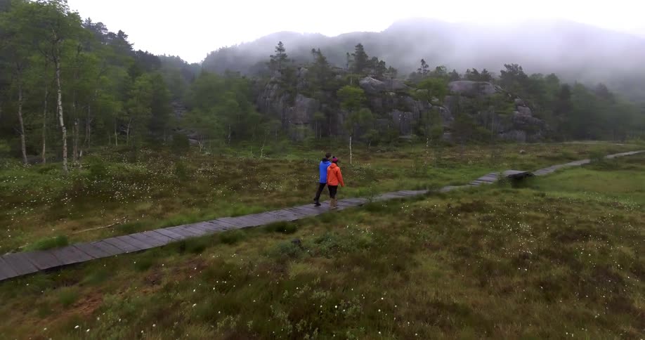 A man and women are walking along a boardwalk in the wilderness