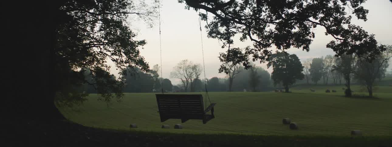 A swing chair hangs from a tree overlooking grassland