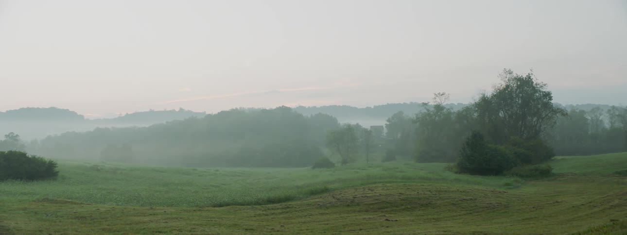 Heavy mist flows over the hills of grassland