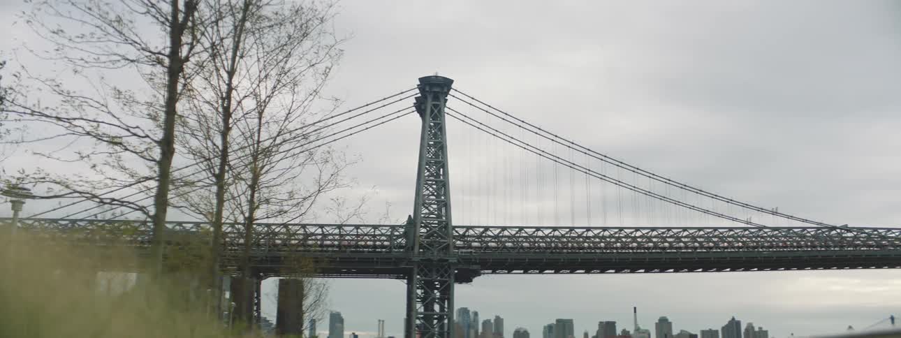 A steel bride with trees and grass in the foreground and the top of buildings in the background on an overcast day
