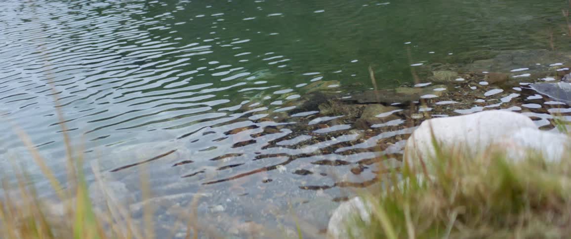 Rocks and pebbles under the calm rippling waters of a lakeat day time