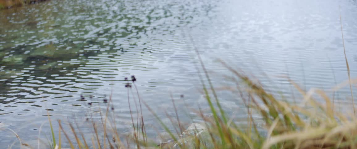 A calmly flowing stream through a field during the day