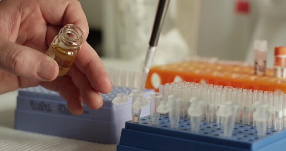 Laboratory technician picks liquid samples from a small bottle using a dropper