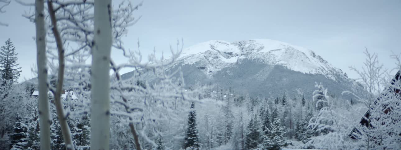 Snow covered trees and mountain on a winter day