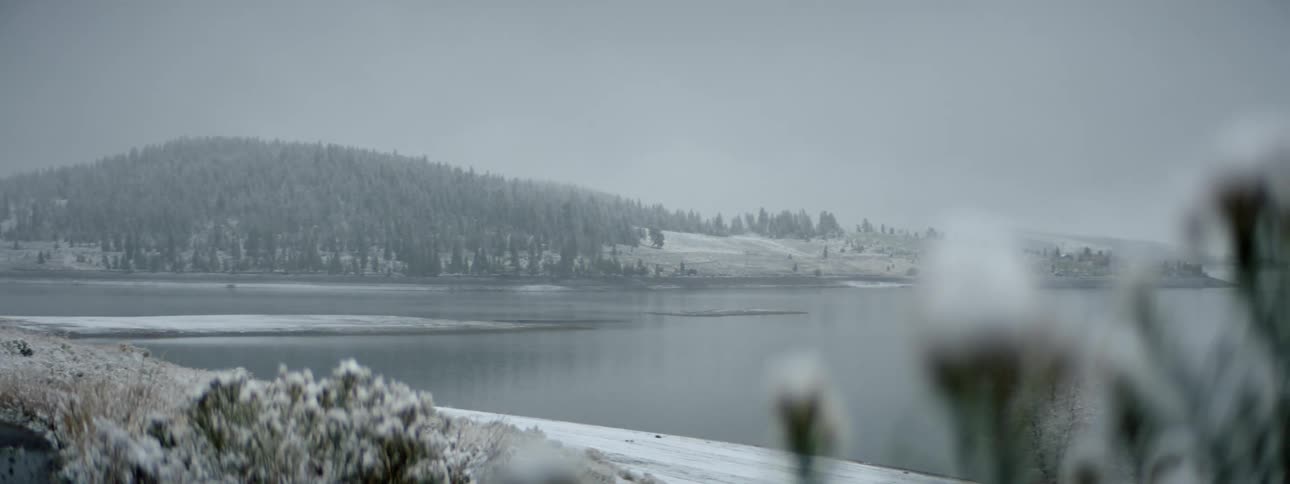 A landscape view of a lake and forest with snow covered trees