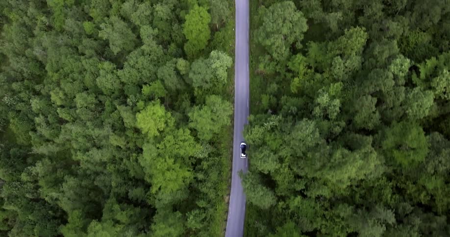 A car traveling down a forest road as seen from above