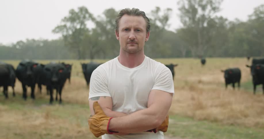 A man stands in a large farm field with a herd of cattle behind him