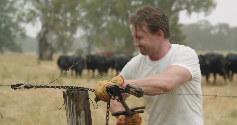 A man is tightening the barb wire around the cattle farm