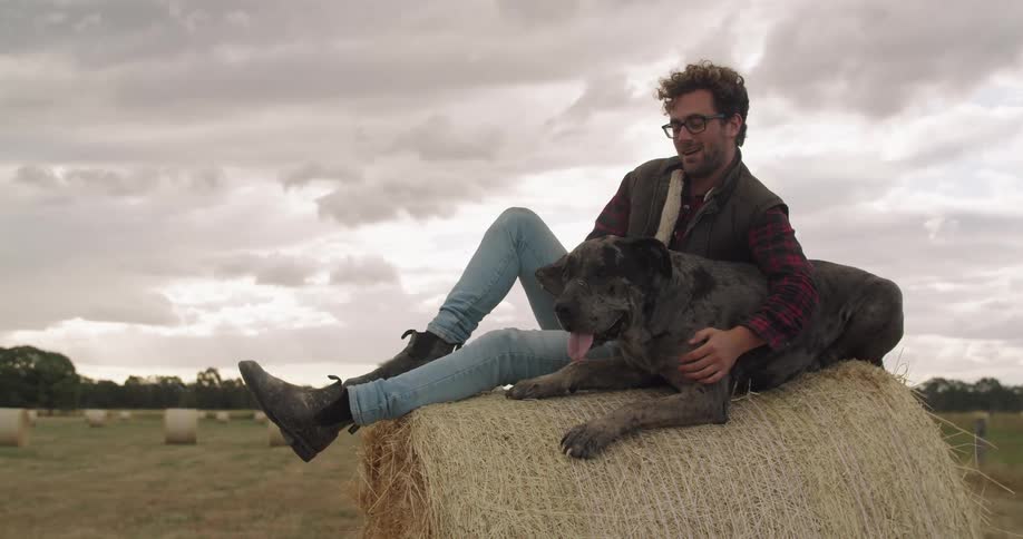 A man pets his dog as they sit on top of a large bale of hay in a field