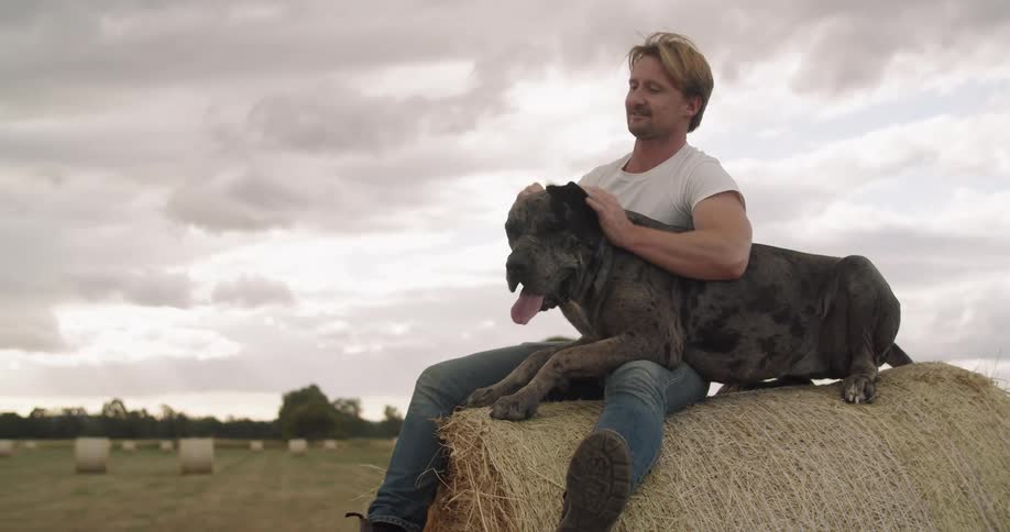 A man petting a dog on a hay bale