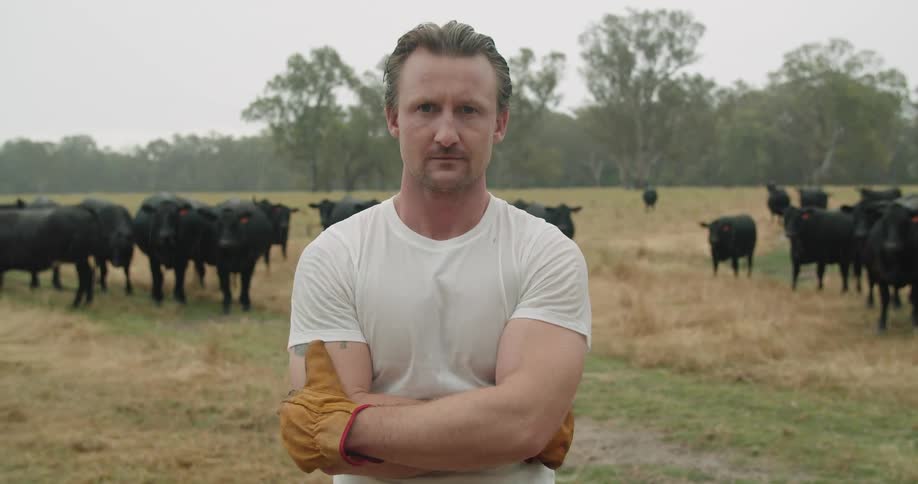 Man standing in pasture with cows in the background