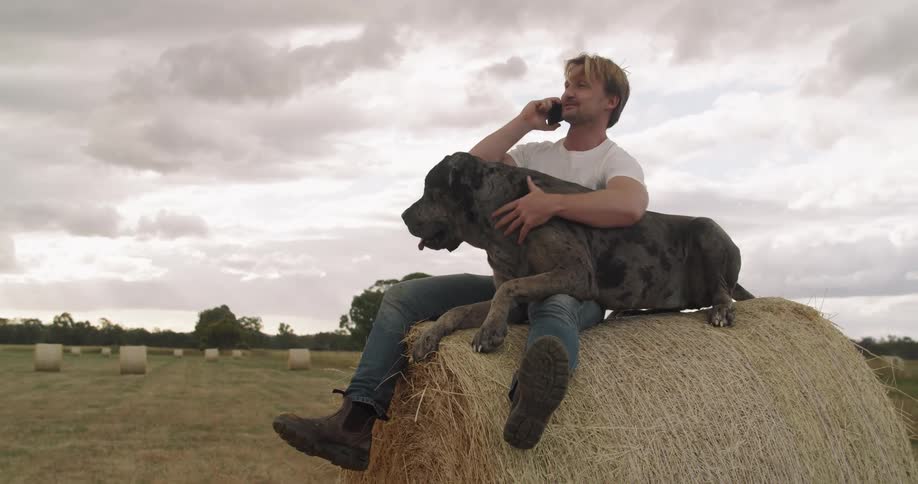 A man sits on top of a hay bale while petting his dog and talking on his cell phone