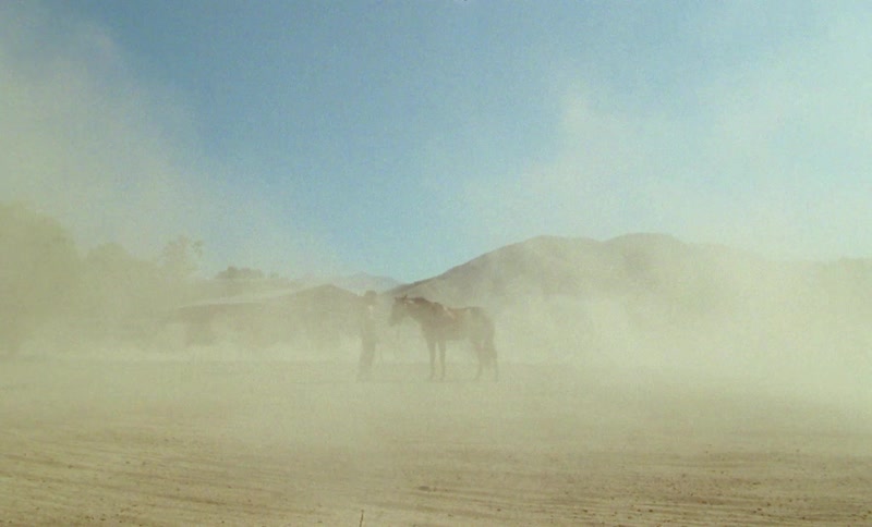 A man stands on farmland holding a horse as dust blows over the land and someone on a motorcycle drives past