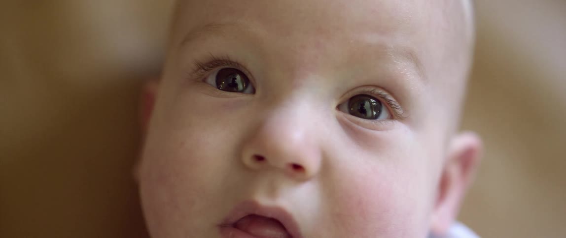 A young baby with very chubby cheeks looks around at its surroundings