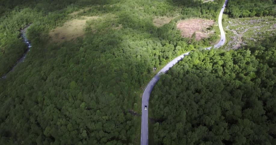 Cars driving down a highway surrounded by forest