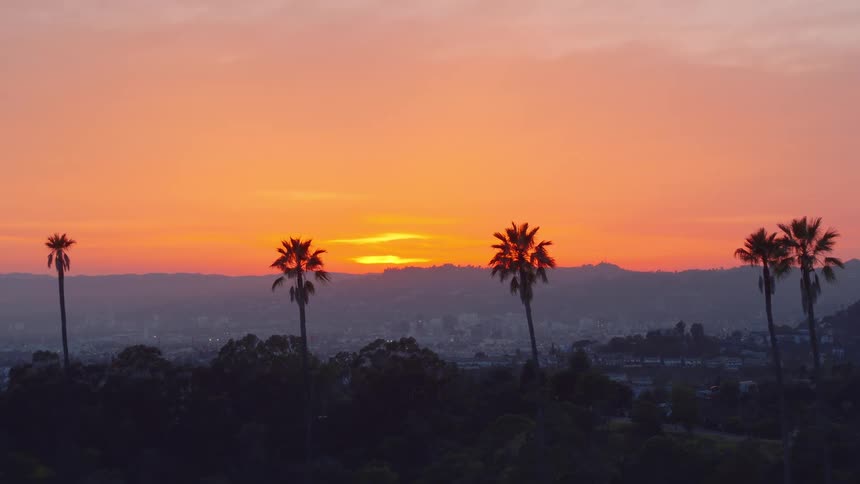 Beautiful orange sky at sunset with palm tree silhouettes in the foreground and mountains on the horizon with setting sun