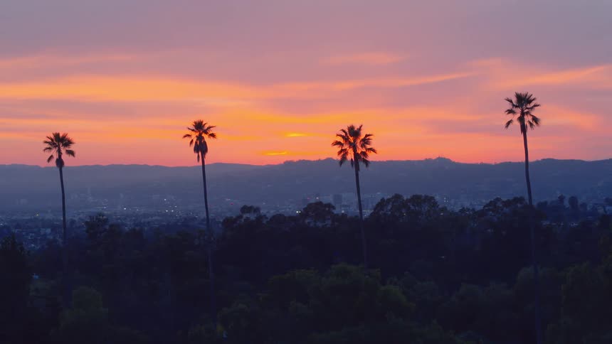 Colorful sky at sunset with mountains on the horizon and palm tree silhouettes in the foreground