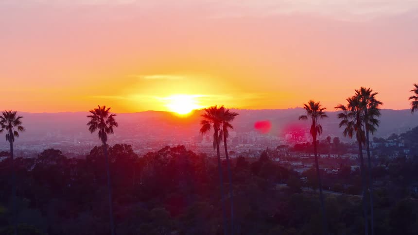 Beautiful sunset over mountains with palm trees in the foreground