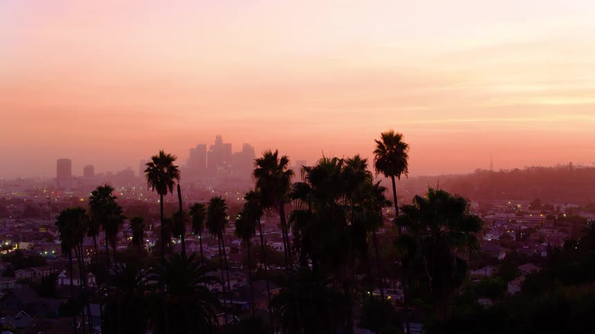 Beautiful pink sky with palm trees in the foreground and buildings on the horizon and a village beneath
