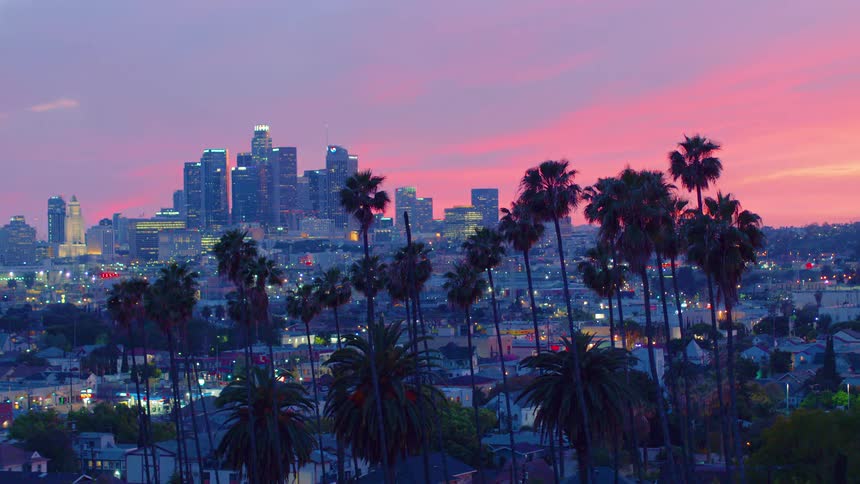 Palm trees sit above a city neighborhood near downtown