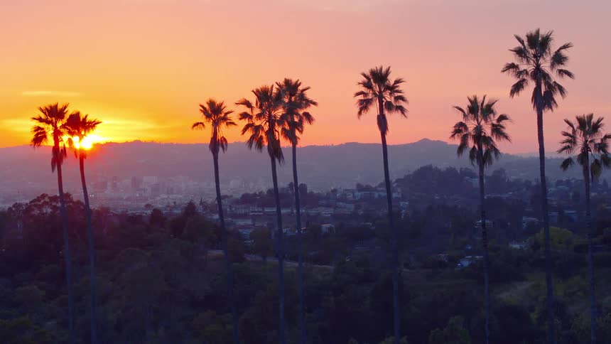 Beautiful sunset over mountains and city with palm trees in the foreground