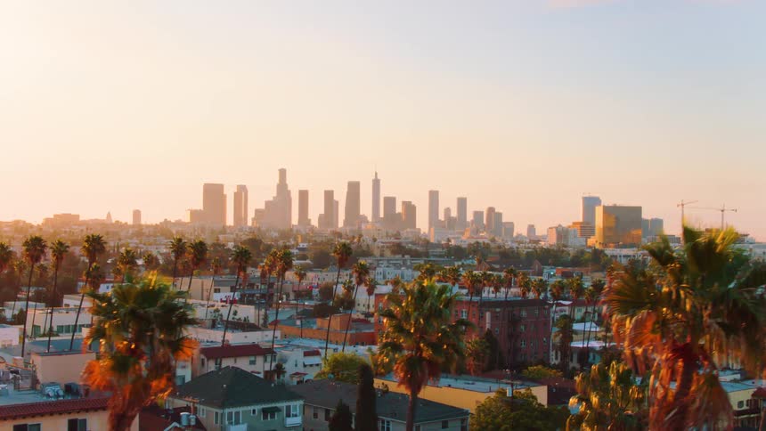 Downtown Los Angeles skyscrapers are revealed beyond a row of palm trees at sunrise