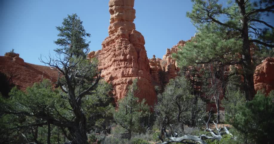 Trees and bushes in front of a mountain range and plateaus at daytime