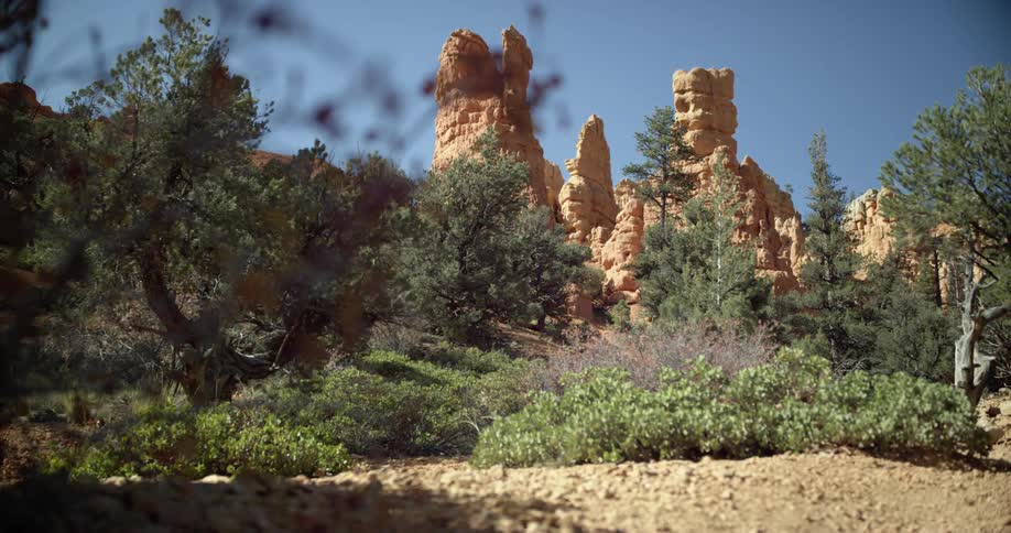 Rock pillars of the desert badlands surrounded by desert vegetation