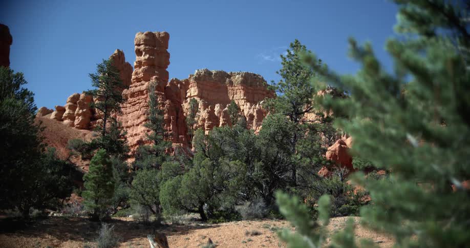 Panning shot of a canyon cliff