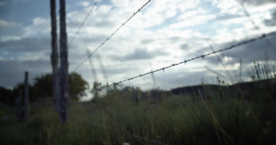 Barbed wire fence