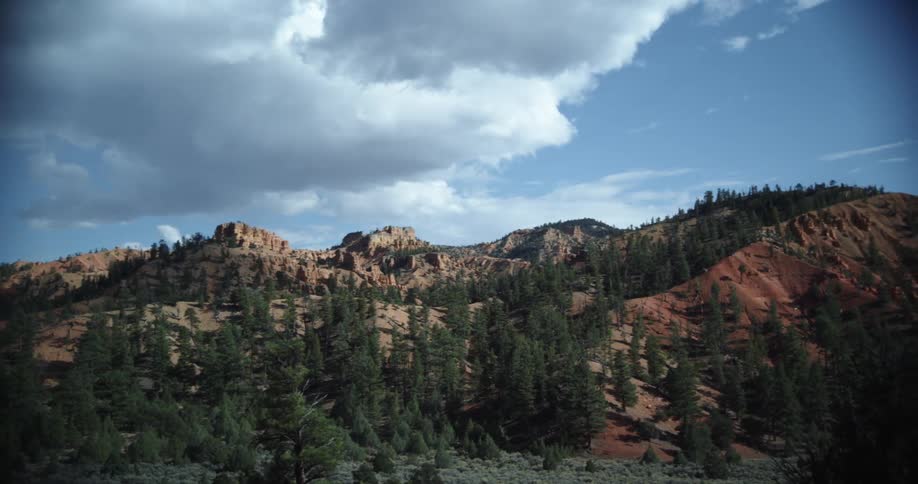 A forest with hills and trees with the sky and clouds in the background