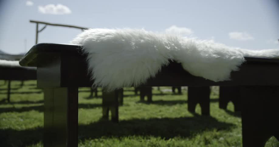 White fluffy rurs resting on wooden benches over green grass in a field at day time