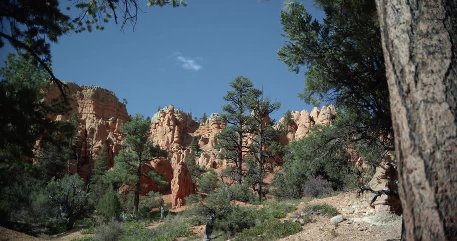 Rock formations and mesa badlands with pine trees around and a blue sky