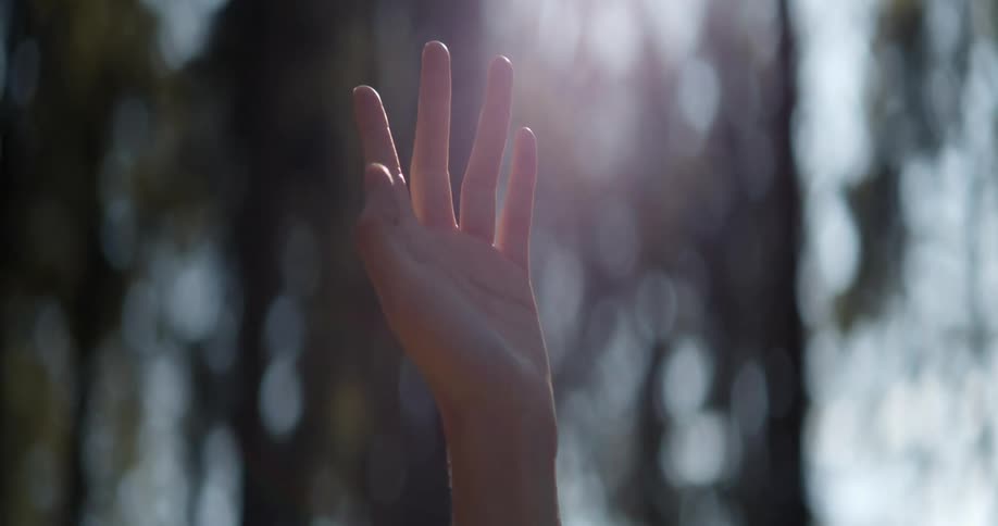 A person holds their hand upwards in the sunlight shining through the nearby trees
