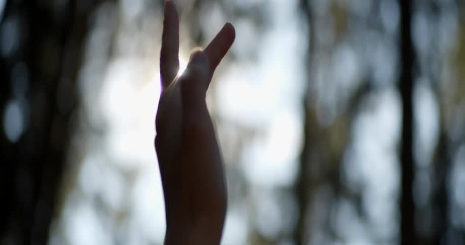 A person holds their hand upwards in the warmth of the sunlight from above