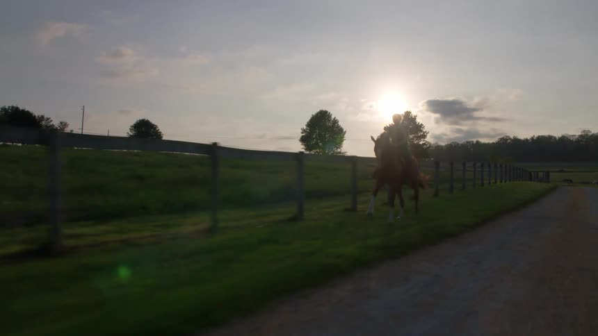 A person rides a horse on grass