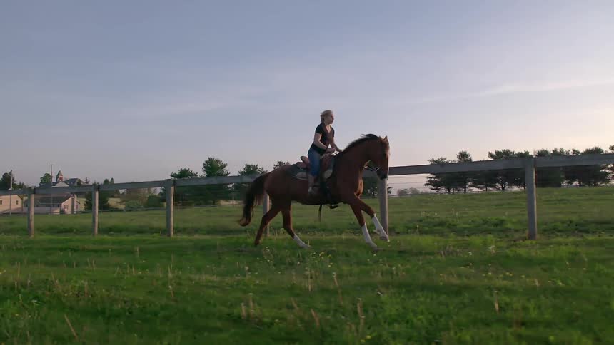 A woman rides a brown horse in the morning