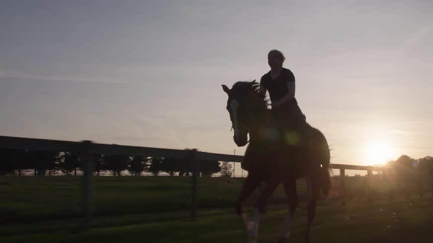 Woman rides a horse at sunset