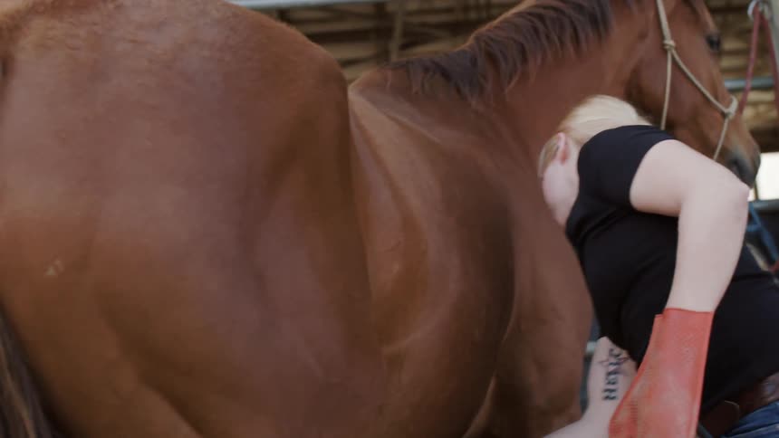 A woman grooms a horse using a brush and mitt
