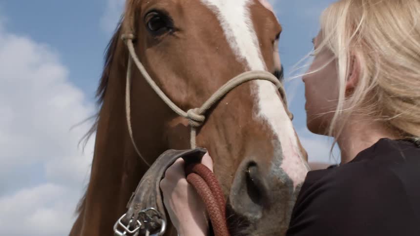 A woman pets a horse