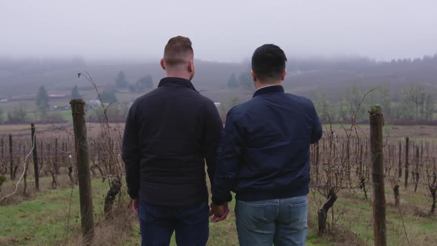 The back of two men looking at the row of plants in a vineyard on the mountains